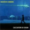 Oceano (feat. Vittorio Matteucci) - Maurizio Camardi lyrics