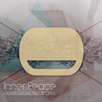Inner Peace - Single - Davis Gruss & Black Criss