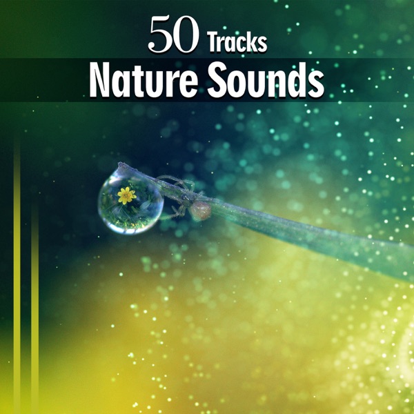 50 Tracks: Nature Sounds - Best Collection of Meditation Relaxation Oasis Music and Relaxing Natural Ambiences to Reduce Stress and Peaceful Sleep