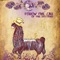 La Sierra - Dandara lyrics