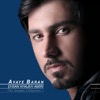 The Singles Collection: Avaye Baran