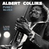 Albert Collins - Stormy Monday