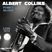 Albert Collins - Can't You See What You're Doing To Me