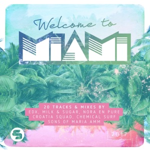 Welcome to Miami 2017 (Continuous DJ-Mix)