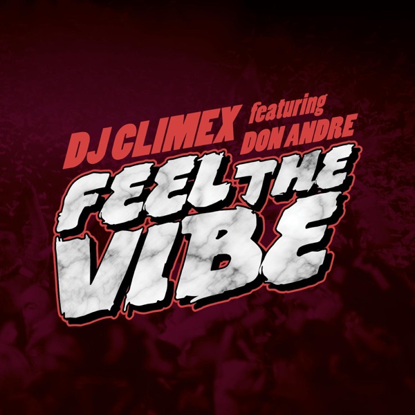 Feel the Vibe (feat. Don Andre) - Single