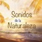 Sueño Lucido - Melissa Calma lyrics