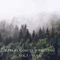 Ierusalime. cetate împodobită