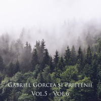 Gabriel Gorcea si Prietenii - Ierusalime, Cetate Impodobita