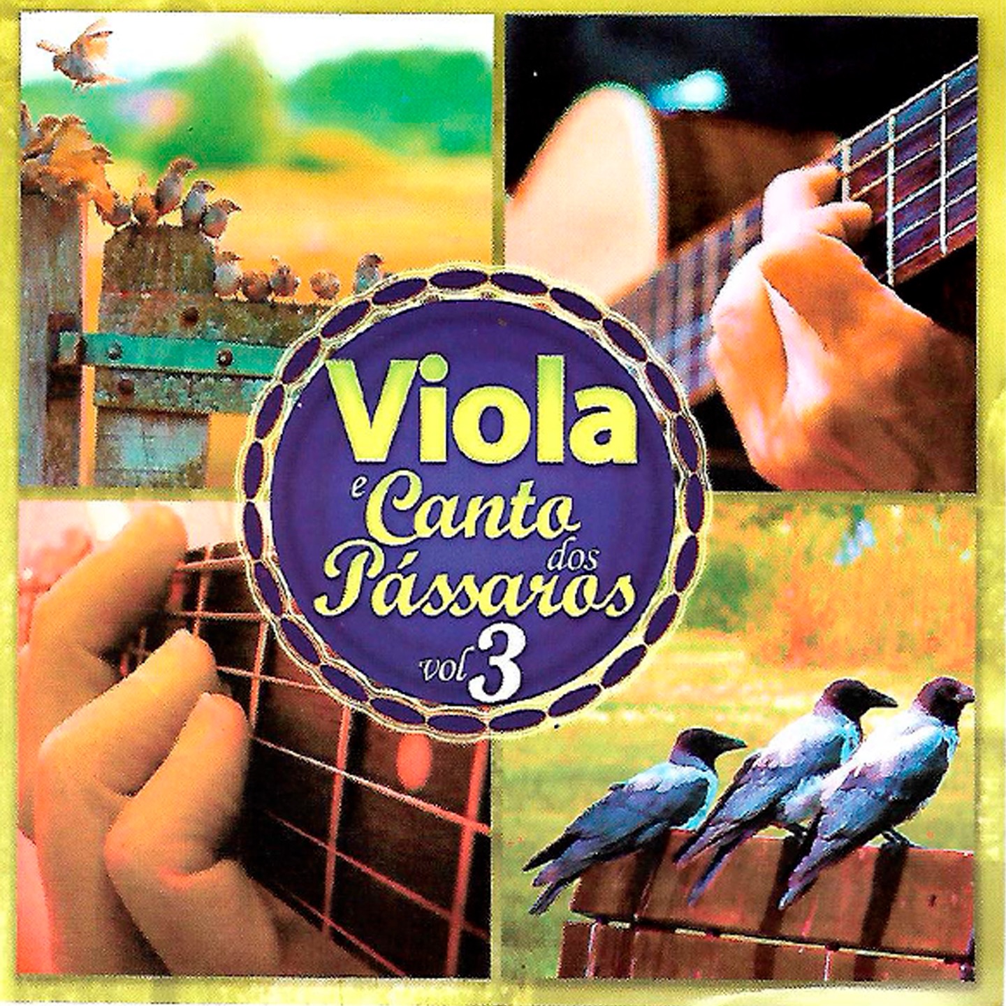 Viola e o Canto dos Pássaros, Vol. 3