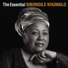 Plea From Africa - Sibongile Khumalo, Arjan Tien, Chamber Orchestra of South Africa (COSA), Members of the Gauteng Choristers and Cenetra Male Choir & Sidwel Mhlongo and Themba Madlopha