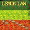 I Wanna Be on Wiki - Lemon Law lyrics