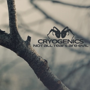 Not All Tears Are Evil - Single