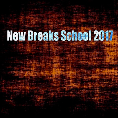 New Breaks School 2017