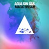 Magic Organ - Single