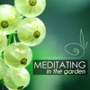 Meditating in the Garden - Sounds of Nature for Transcendental Meditation, Soothing Natural Zen Sounds, 2017