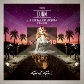 BURN (feat. Emma Brammer) Alex Hook