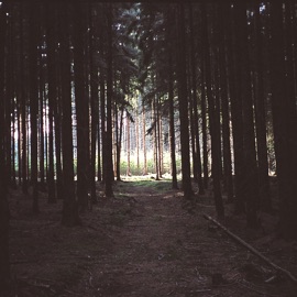 If Only That Love Lets Letting Happen (Organ Music for Organs) zev