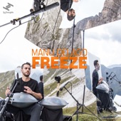 Manu Delago - Freeze