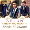 I Know You Want It - Sheila Ki Jawani
