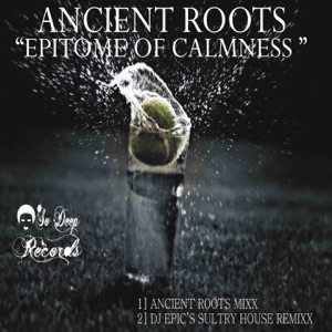 Epitome of Calmness - Single