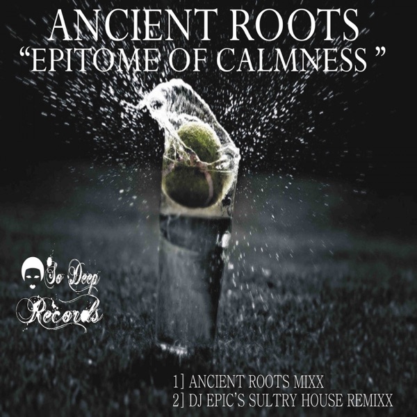 Epitome of Calmness - Single