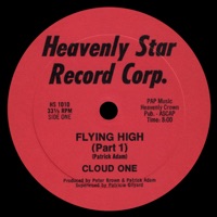 Flying High