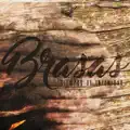 Brasas
