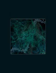 Key सुनें, म्यूज़िक वीडियो देखें, बायो पढ़ें, दौरे की तारीखें और बहुत कुछ देखें!