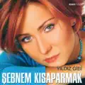 IKIMIZ BIR FIDANIZ