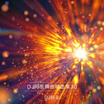 DJ阿圣舞曲精选集30