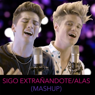 Sigo Extrañandote / Alas - Single