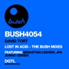 Lost in Acid (The Bush Mixes) - Single