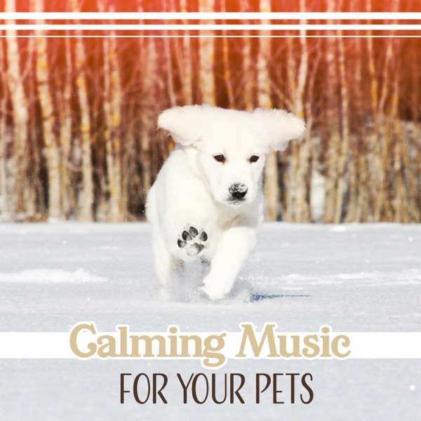 Calming Music for Your Pets – Soothing Sounds for Dogs, Cats, Nature Therapy for Stress Free, Total Comfort