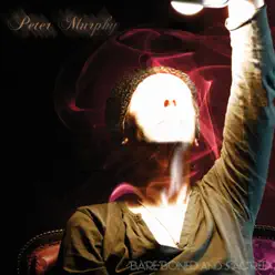 Bare-Boned and Sacred (Live) - Peter Murphy