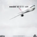 Hazard of a Fly Guy
