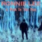 A Walk in the Past (feat. Adam Holzman) - Ronnie Lee lyrics