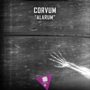 Alarum - Single