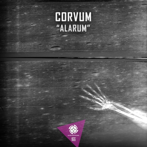 Alarum - Single