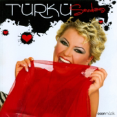 Çirkin song art