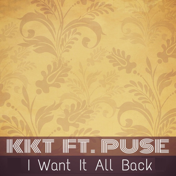 I Want It All Back (feat. Puse)