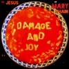 Damage and Joy, 2017