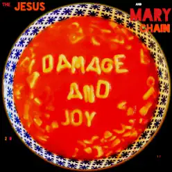 Damage and Joy - The Jesus and Mary Chain