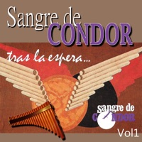 Sangre de Condor - Merceditas – Kilometro 11 (Argentina)