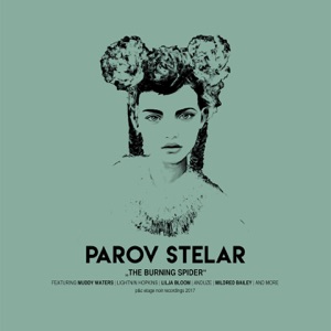 Parov Stelar - Mama Talking (feat. Stuff Smith) - Line Dance Choreographer