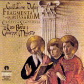 Agnus a 3 "Custos et pastor" artwork