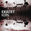 William Rollin Alibi Kern (feat. Christophe Girard, Stan Delannoy & William Rollin)