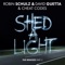 Shed a Light (Mosimann Remix) - Robin Schulz, David Guetta & Cheat Codes lyrics
