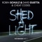 Shed a Light (MDZN Remix) - Robin Schulz, David Guetta & Cheat Codes lyrics