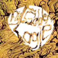 Tangible Intangible — Fly Golden Eagle