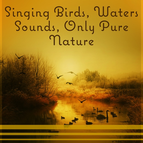 Singing Birds, Waters Sounds, Only Pure Nature – Music for Deep Rest, Spa, Relaxation & Meditation, Sleep, Healing Songs